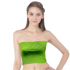 Banana Leaf Tube Top by artworkshop