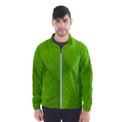 Banana Leaf Men s Windbreaker by artworkshop