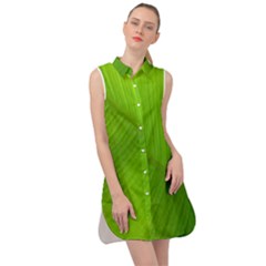 Banana Leaf Sleeveless Shirt Dress by artworkshop