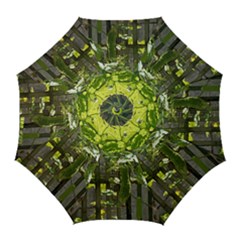 Bitter Melon Golf Umbrellas by artworkshop