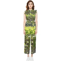 Bitter Melon Women s Frill Top Chiffon Jumpsuit by artworkshop