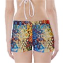 Colorful Structure Boyleg Bikini Wrap Bottoms View2