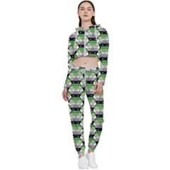 Hackers Town Void Mantis Hexagon Aromantic Pride Flag Cropped Zip Up Lounge Set by WetdryvacsLair