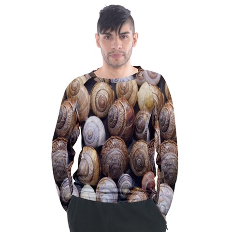 Snail Shells Pattern Arianta Arbustorum Men s Long Sleeve Raglan Tee by artworkshop