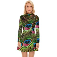 Peacock-feathers-color-plumage Long Sleeve Velour Longline Dress by Celenk