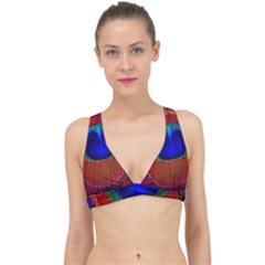 Peacock Plumage Fearher Bird Pattern Classic Banded Bikini Top by Sapixe