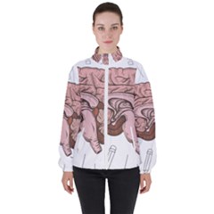 Cerebrum Human Structure Cartoon Human Brain Women s High Neck Windbreaker by Sapixe