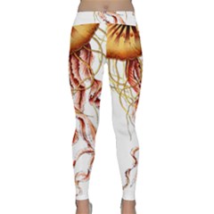 Animal Art Forms In Nature Jellyfish Classic Yoga Leggings by Sapixe