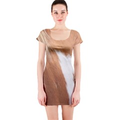 Horse Coat Animal Equine Short Sleeve Bodycon Dress by artworkshop