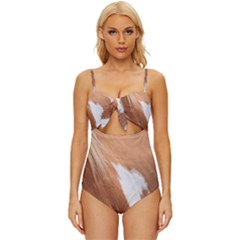 Horse Coat Animal Equine Knot Front One-piece Swimsuit by artworkshop