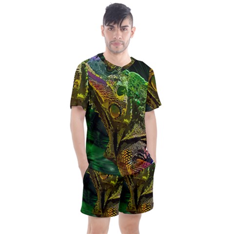 Chameleon Reptile Lizard Animal Men s Mesh Tee And Shorts Set by Wegoenart