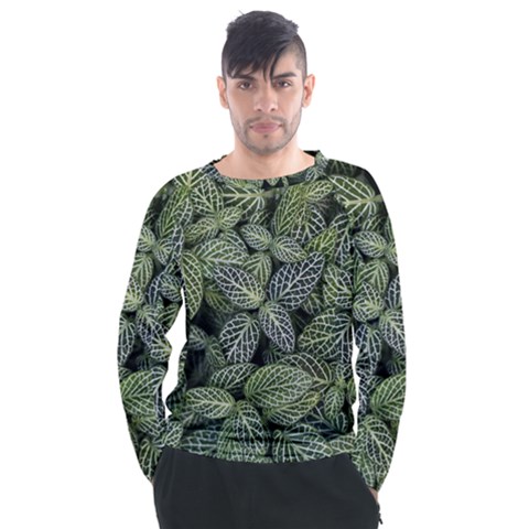 Leaves Foliage Botany Plant Men s Long Sleeve Raglan Tee by Ravend