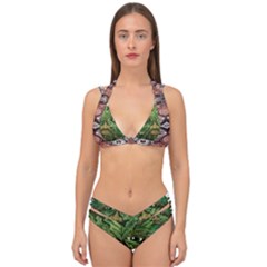 Im Fourth Dimension Colour 81 Double Strap Halter Bikini Set by imanmulyana