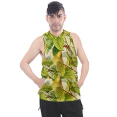 Pear Fruit Tree Organic Pattern Men s Sleeveless Hoodie by Wegoenart