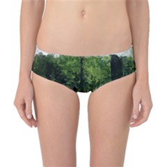 Beeches Trees Tree Lawn Forest Nature Classic Bikini Bottoms by Wegoenart