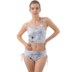 Mandelbrot Apple Males Mathematics Mini Tank Bikini Set by Jancukart