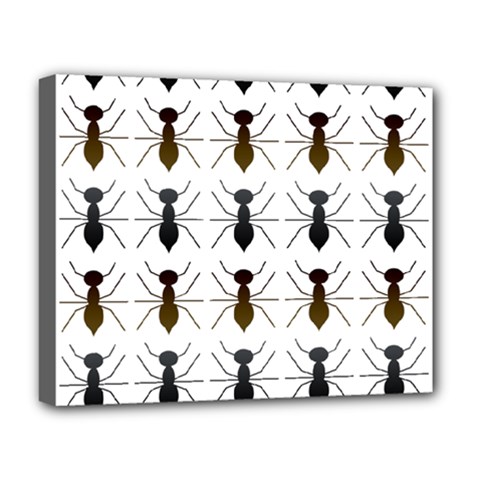 Ants Insect Pattern Cartoon Ant Animal Deluxe Canvas 20  X 16  (stretched) by Ravend