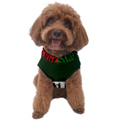 Strong Italian Energy Dog Sweater by ConteMonfrey