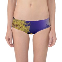 Landscape Illustration Night Light Classic Bikini Bottoms by Wegoenart