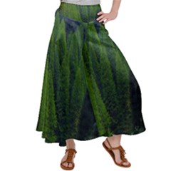 Forest Scenery Nature Trees Woods Satin Palazzo Pants by danenraven