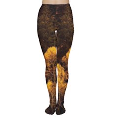 Autumn Fall Foliage Forest Trees Woods Nature Tights by danenraven