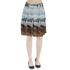 Ducks On Gardasee Pleated Skirt by ConteMonfrey