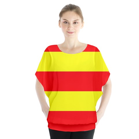 Aust Agder Flag Batwing Chiffon Blouse by tony4urban