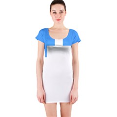 Akershus Flag Short Sleeve Bodycon Dress by tony4urban