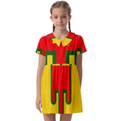 Auvergne Flag Kids  Asymmetric Collar Dress by tony4urban