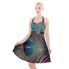 Peacock Halter Party Swing Dress  by StarvingArtisan