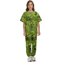 Botanical Motif Plants Detail Photography Kids  Tee And Pants Sports Set by dflcprintsclothing