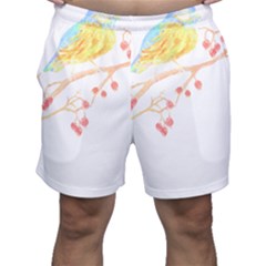 Bird Lover T- Shirtbird T- Shirt (24) Men s Shorts by maxcute