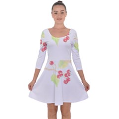 Bird Lover T- Shirtbird T- Shirt (32) Quarter Sleeve Skater Dress by maxcute