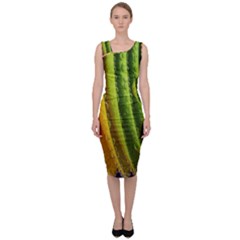  Colorful Illustrations Sleeveless Pencil Dress by artworkshop