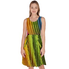  Colorful Illustrations Knee Length Skater Dress With Pockets by artworkshop