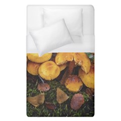 Orange Mushrooms In Patagonia Forest, Ushuaia, Argentina Duvet Cover (single Size) by dflcprintsclothing