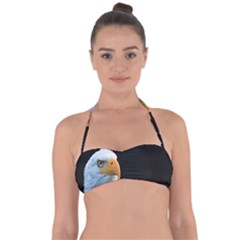 Bird Halter Bandeau Bikini Top by artworkshop