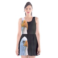 Bird Scoop Neck Skater Dress by artworkshop