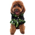 Ai Generated Drink Spinach Smooth Apple Ginger Dog Coat View1