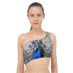 Peacock Bird Animal Feather Nature Colorful Spliced Up Bikini Top  by Ravend