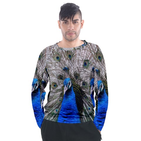 Peacock Bird Animal Feather Nature Colorful Men s Long Sleeve Raglan Tee by Ravend