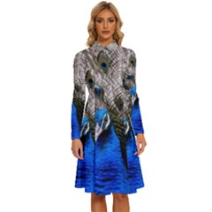 Peacock Bird Animal Feather Nature Colorful Long Sleeve Shirt Collar A-line Dress by Ravend