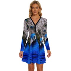 Peacock Bird Animal Feather Nature Colorful Long Sleeve Deep V Mini Dress  by Ravend