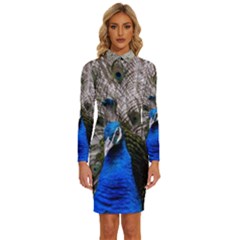 Peacock Bird Animal Feather Nature Colorful Long Sleeve Shirt Collar Bodycon Dress by Ravend