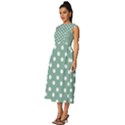 Mint Green Polka Dots Sleeveless Round Neck Midi Dress View2