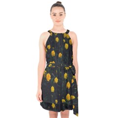 Bloomed Yellow Petaled Flower Plants Halter Collar Waist Tie Chiffon Dress by artworkshop