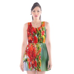 Gathering Sping Flowers  Scoop Neck Skater Dress by artworkshop