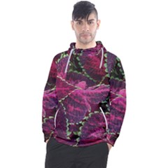 Abstract Beautiful Beauty Bright Men s Pullover Hoodie by Semog4