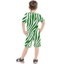 Dark green Zebra Vibes Animal Print Kids  Tee and Shorts Set View2