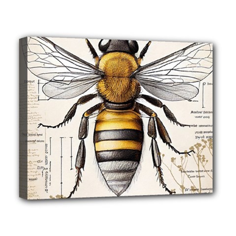 Bee Beekeeping Deluxe Canvas 20  X 16  (stretched) by Simbadda